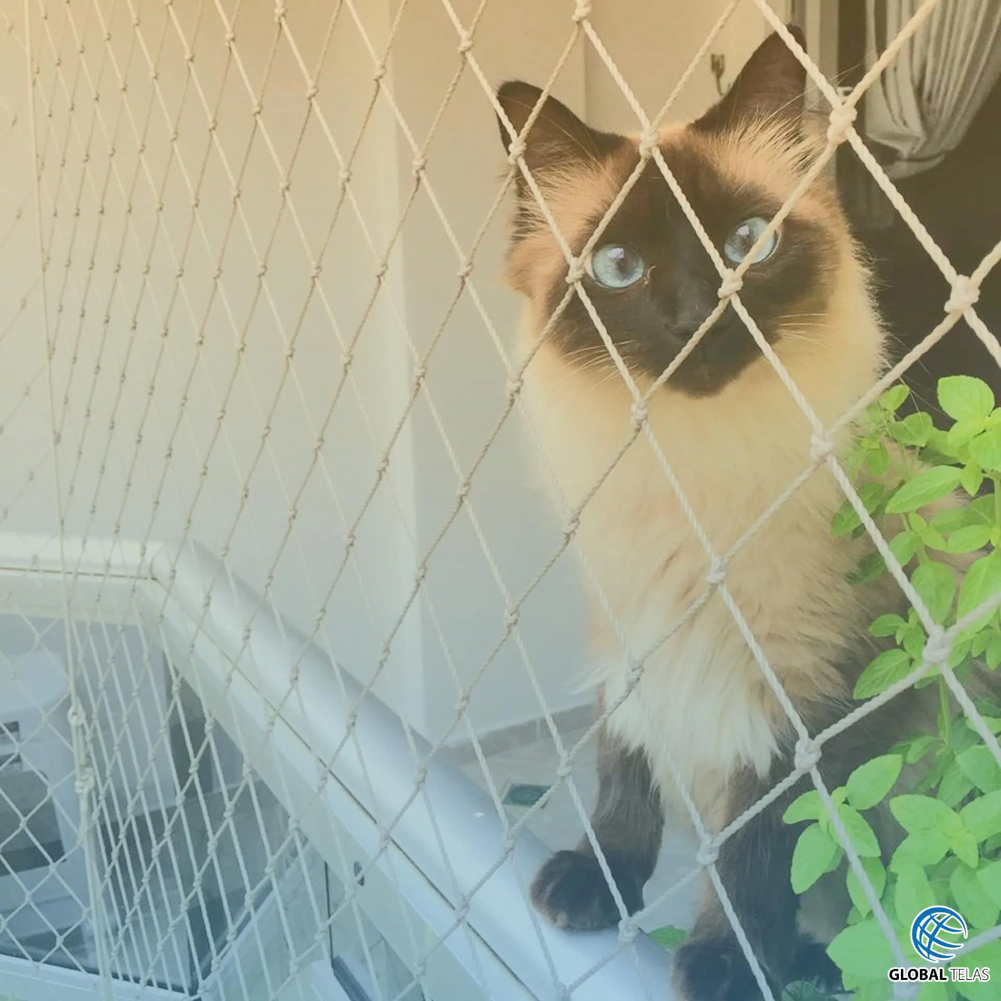 Rede de Proteção para Gatos