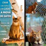 Gatos em Varanda com Rede de Proteção