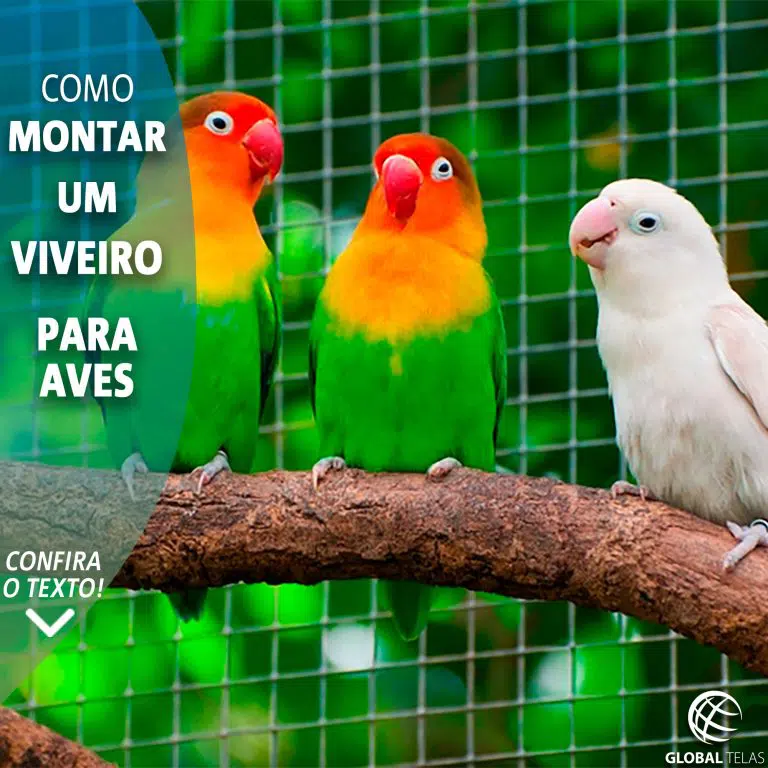 Como montar um viveiro para Aves