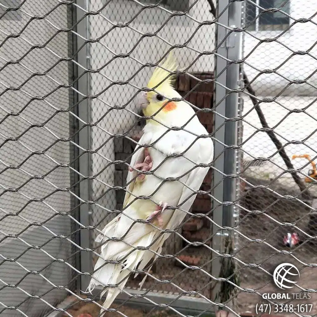 Tela Aviário Viveiro