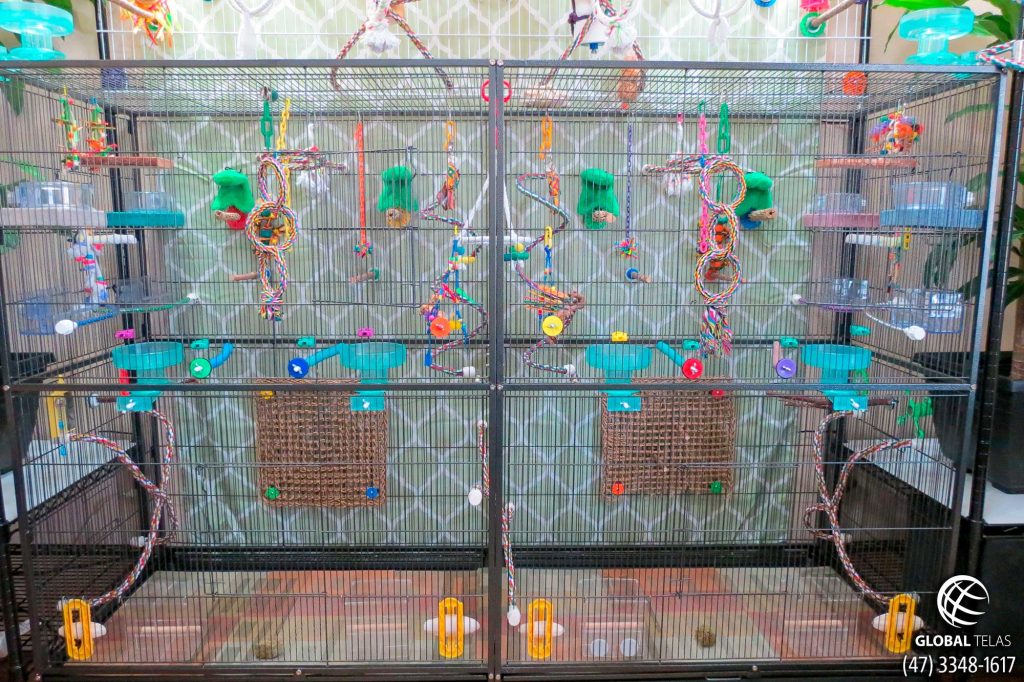 brinquedos poleiros e outros itens para viveiro de aves em gaiola