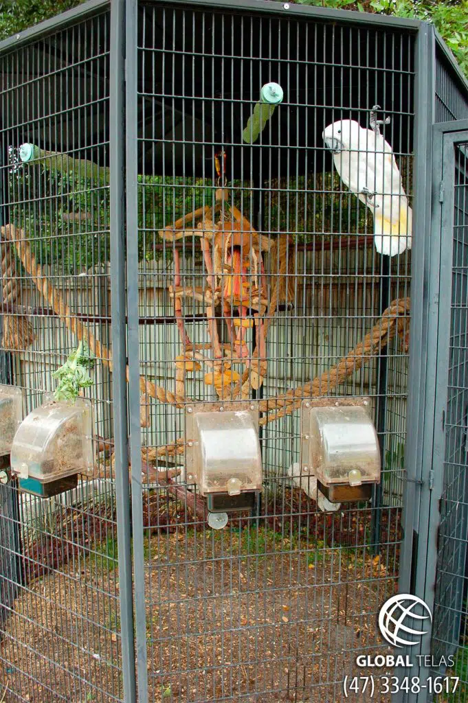 estrutura de ferro pronta para viveiro